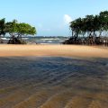 By phogel (Flickr: Ilja de Marajo Beach, Para / Brazil) [CC BY 2.0 (http://creativecommons.org/licenses/by/2.0)], via Wikimedia Commons