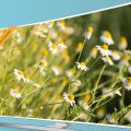 MultTV. Crédito-Freepik