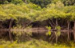 Projeto Yara mede qualidade da água do Rio Amazonas