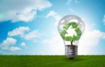Lâmpada em ambiente verde que remete a eficiência energética - Crédito: Freepik