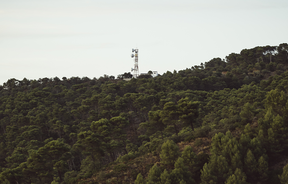 Anatel mapeia leis de antenas inadequadas em 40% das maiores cidades mineiras | Foto: Freepik