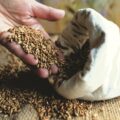 Embratel lança Smart Silo para monitoramento de grãos no agronegócio