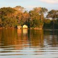 Papel dos ISPs na expansão da conectividade na Amazônia