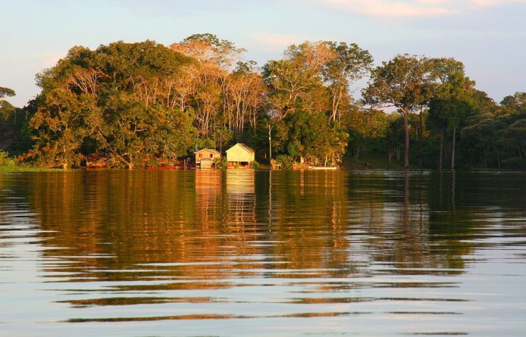 Papel dos ISPs na expansão da conectividade na Amazônia