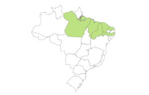 brasil antenado fase 1