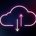 Cohesity