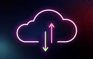 Cohesity
