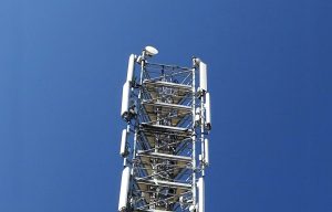 Netmore torre